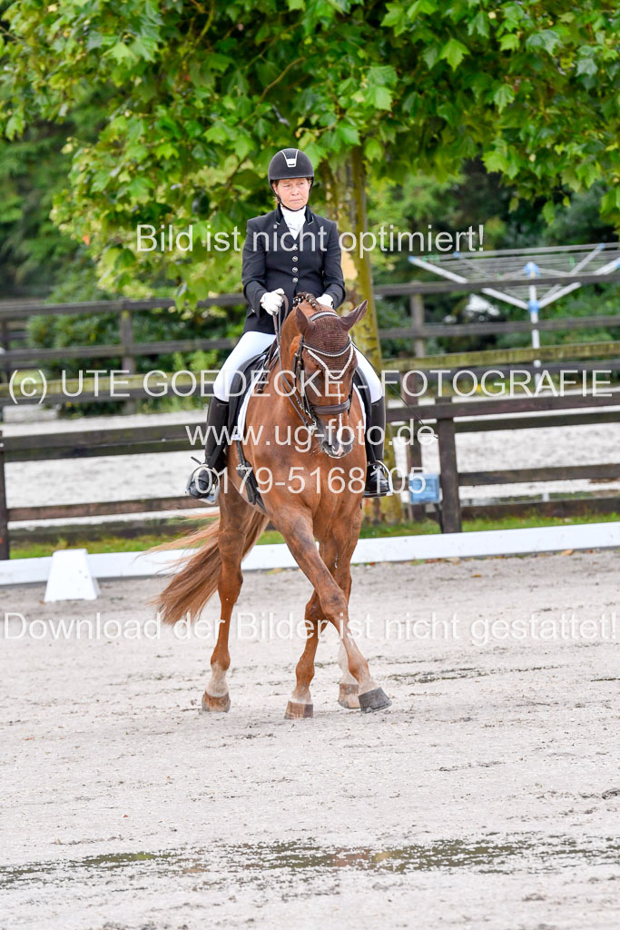 Klein Offenseth   Dressur  1.8.2021 | 01082021 Dressur M+ _027 