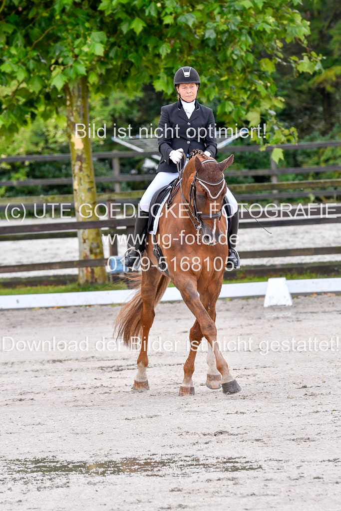 Klein Offenseth   Dressur  1.8.2021 | 01082021 Dressur M+ _028 