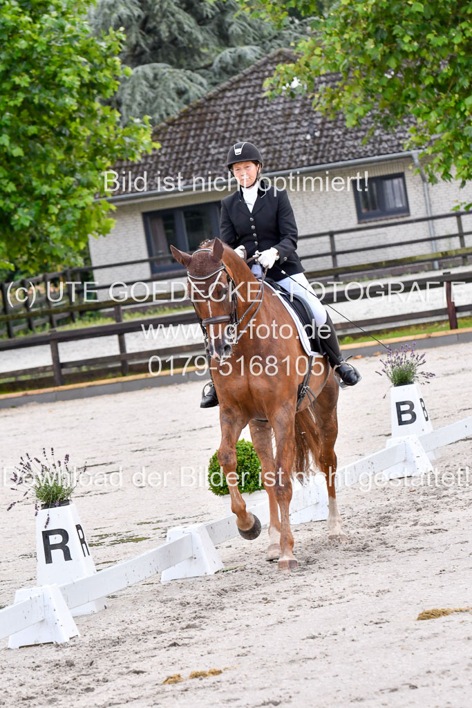 Klein Offenseth   Dressur  1.8.2021 | 01082021 Dressur M+ _032 
