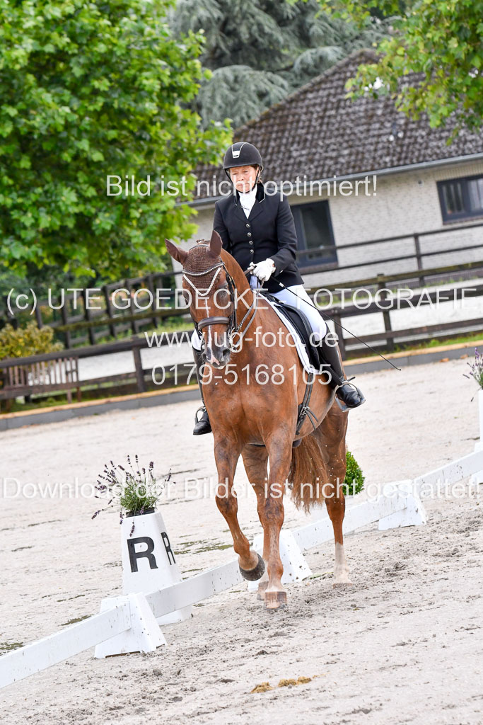 Klein Offenseth   Dressur  1.8.2021 | 01082021 Dressur M+ _033 