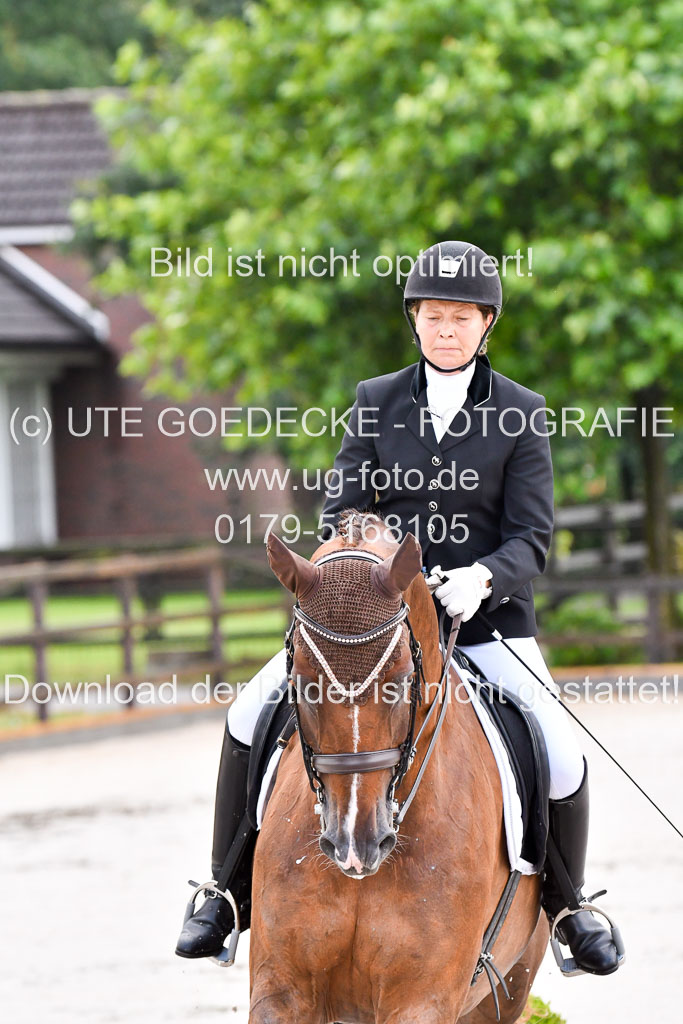 Klein Offenseth   Dressur  1.8.2021 | 01082021 Dressur M+ _034 