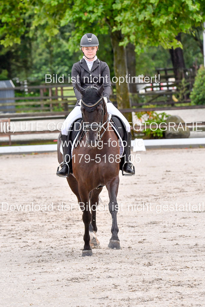 Klein Offenseth   Dressur  1.8.2021 | 01082021 Dressur M+ _044 