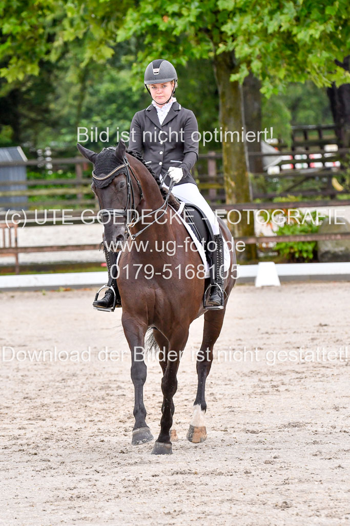Klein Offenseth   Dressur  1.8.2021 | 01082021 Dressur M+ _049 