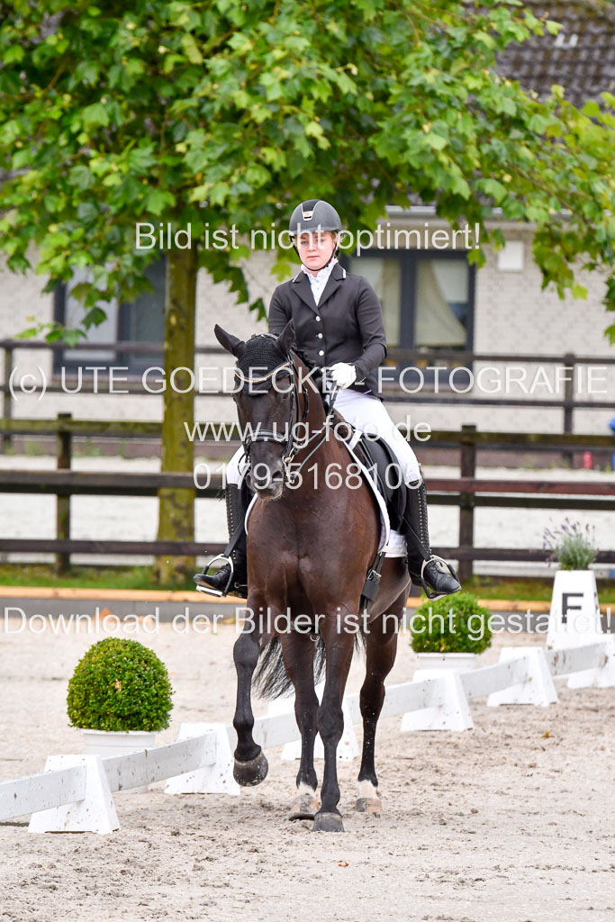 Klein Offenseth   Dressur  1.8.2021 | 01082021 Dressur M+ _052 