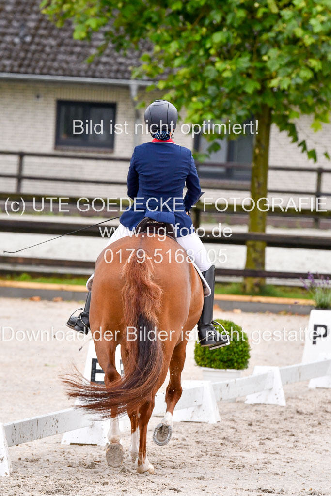 Klein Offenseth   Dressur  1.8.2021 | 01082021 Dressur M+ _060 