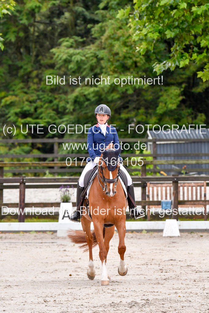 Klein Offenseth   Dressur  1.8.2021 | 01082021 Dressur M+ _061 
