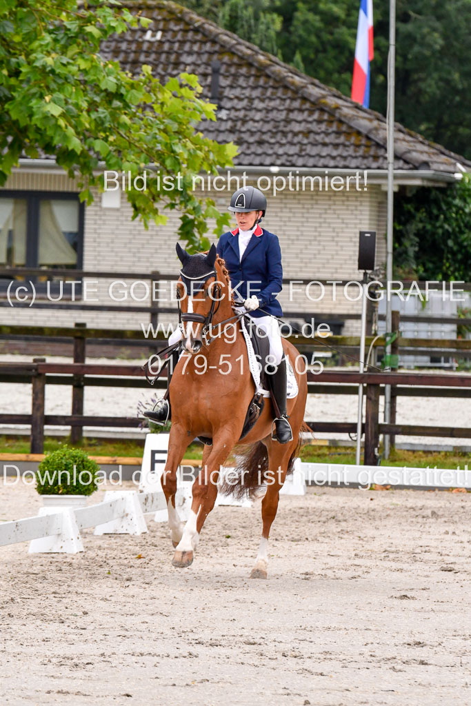 Klein Offenseth   Dressur  1.8.2021 | 01082021 Dressur M+ _068 