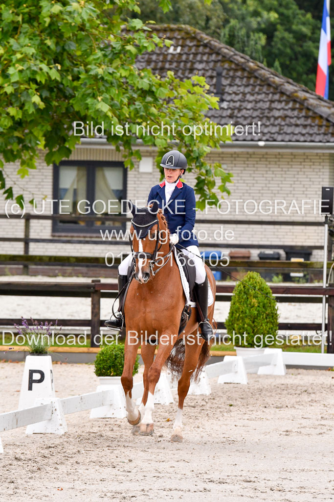 Klein Offenseth   Dressur  1.8.2021 | 01082021 Dressur M+ _069 