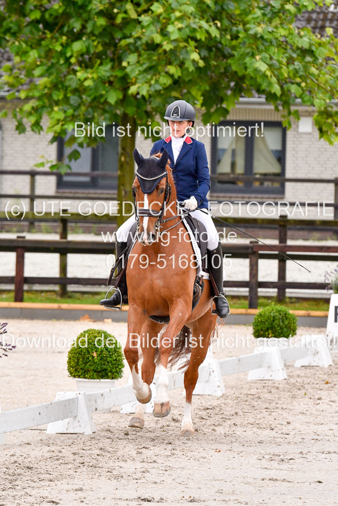 Klein Offenseth   Dressur  1.8.2021 | 01082021 Dressur M+ _071 