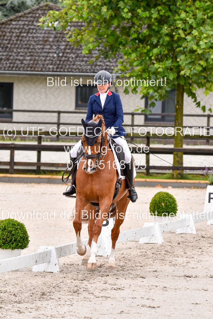 Klein Offenseth   Dressur  1.8.2021 | 01082021 Dressur M+ _073 