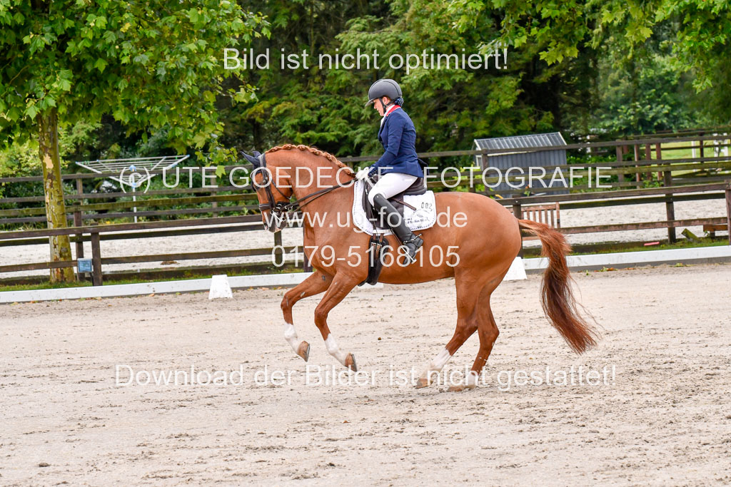 Klein Offenseth   Dressur  1.8.2021 | 01082021 Dressur M+ _078 