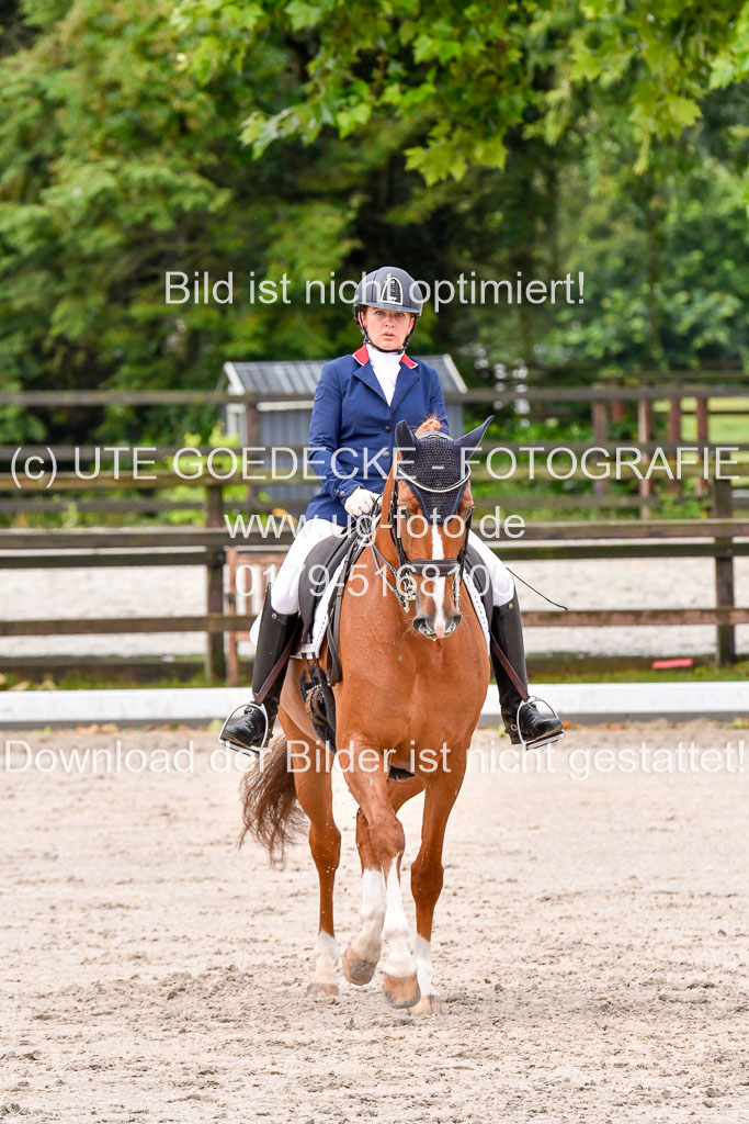 Klein Offenseth   Dressur  1.8.2021 | 01082021 Dressur M+ _081 
