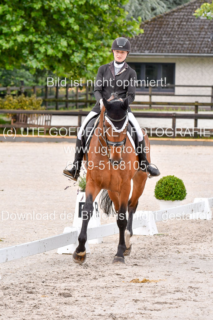 Klein Offenseth   Dressur  1.8.2021 | 01082021 Dressur M+ _088 