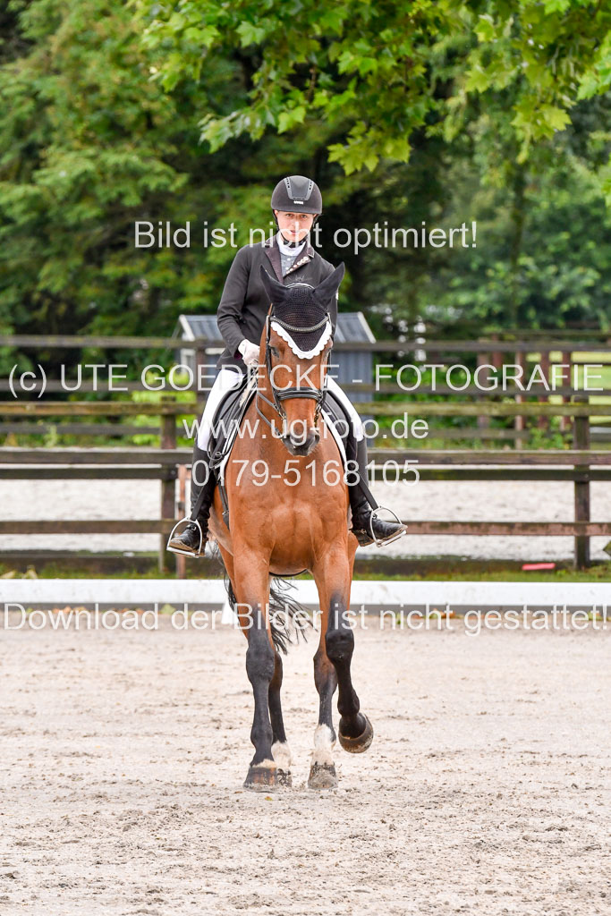 Klein Offenseth   Dressur  1.8.2021 | 01082021 Dressur M+ _090 
