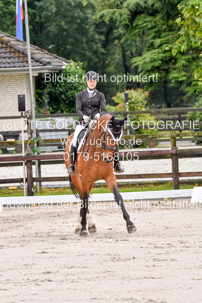 Klein Offenseth   Dressur  1.8.2021 | 01082021 Dressur M+ _093 