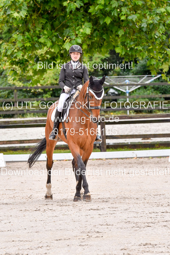Klein Offenseth   Dressur  1.8.2021 | 01082021 Dressur M+ _094 