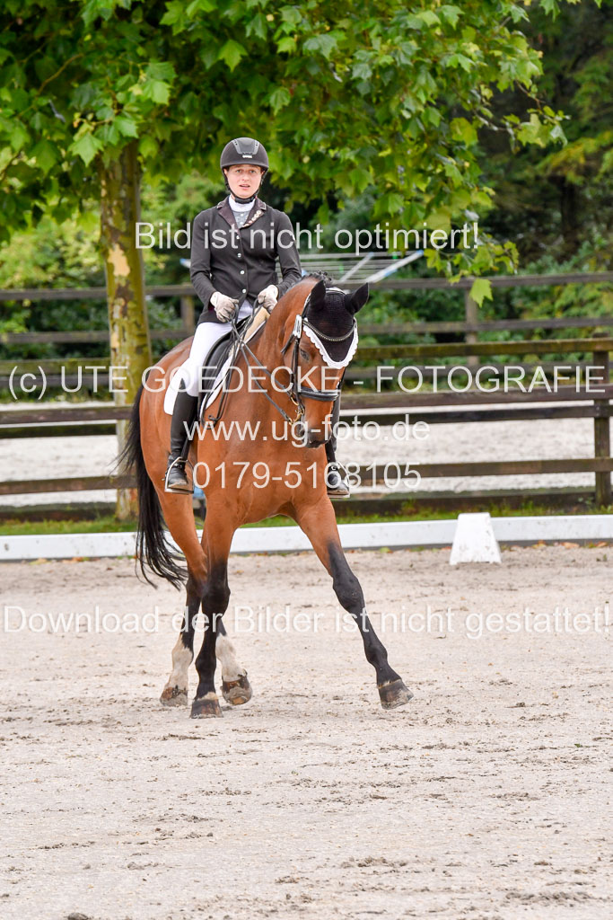 Klein Offenseth   Dressur  1.8.2021 | 01082021 Dressur M+ _095 