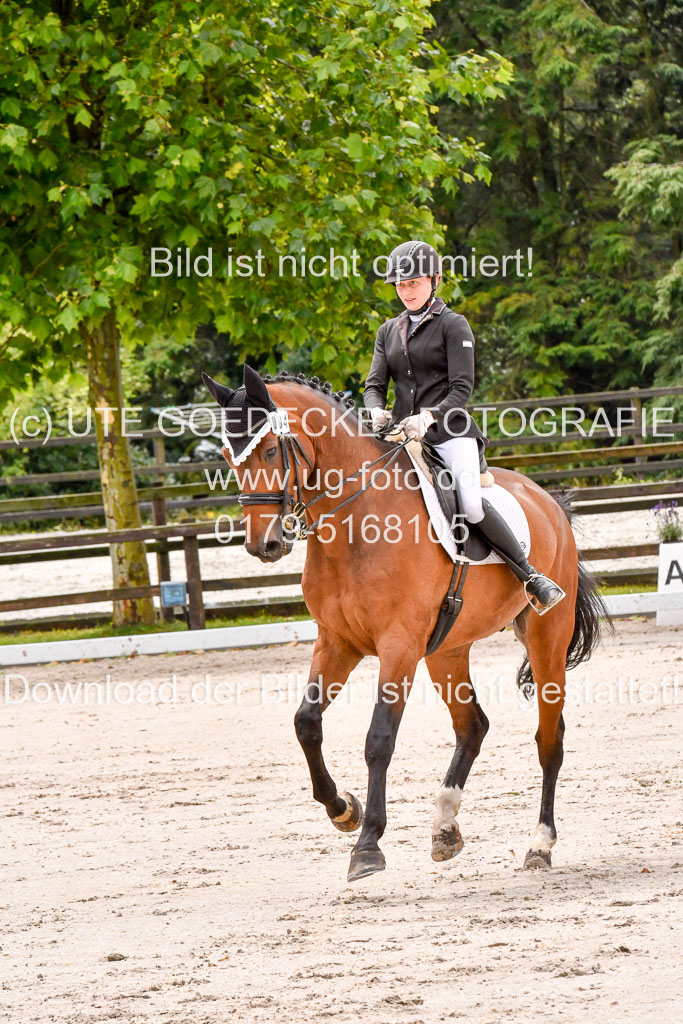 Klein Offenseth   Dressur  1.8.2021 | 01082021 Dressur M+ _103 