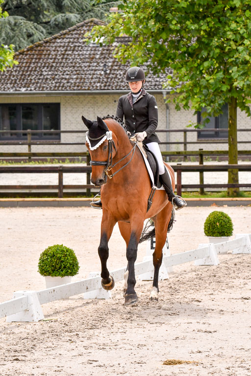 Klein Offenseth   Dressur  1.8.2021 | 01082021 Dressur M+ _100 