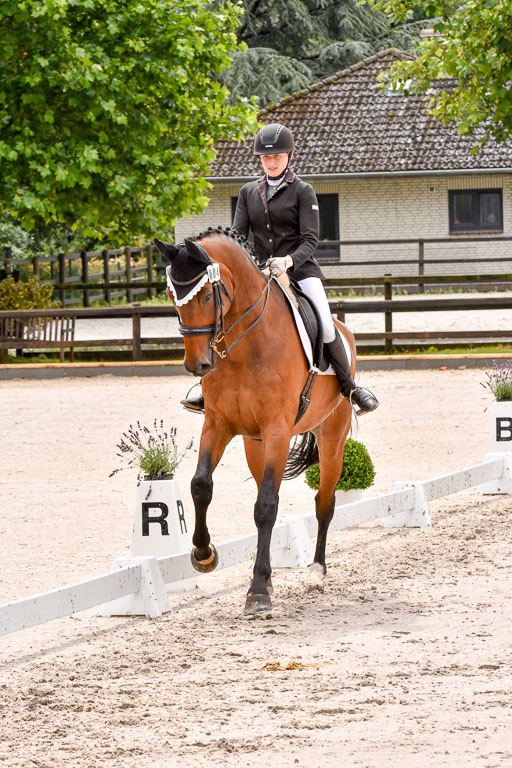 Klein Offenseth   Dressur  1.8.2021 | 01082021 Dressur M+ _101 