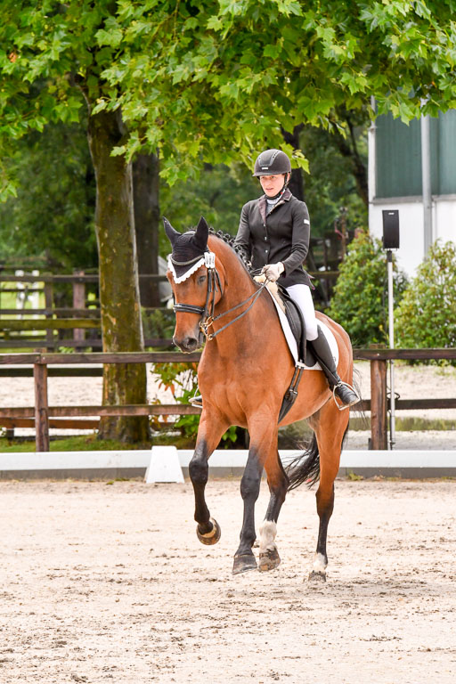 Klein Offenseth   Dressur  1.8.2021 | 01082021 Dressur M+ _102 