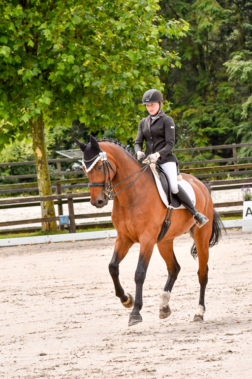 Klein Offenseth   Dressur  1.8.2021 | 01082021 Dressur M+ _103 
