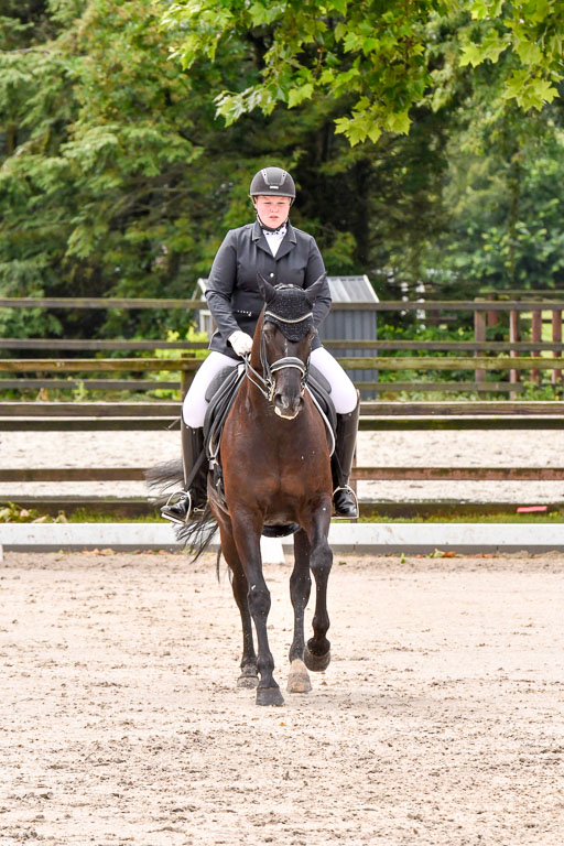 Klein Offenseth   Dressur  1.8.2021 | 01082021 Dressur M+ _108 