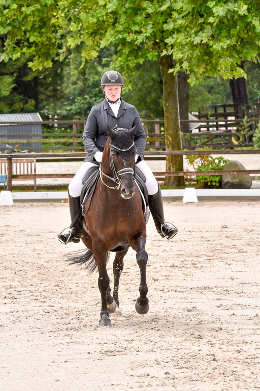 Klein Offenseth   Dressur  1.8.2021 | 01082021 Dressur M+ _109 