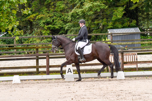Klein Offenseth   Dressur  1.8.2021 | 01082021 Dressur M+ _111 