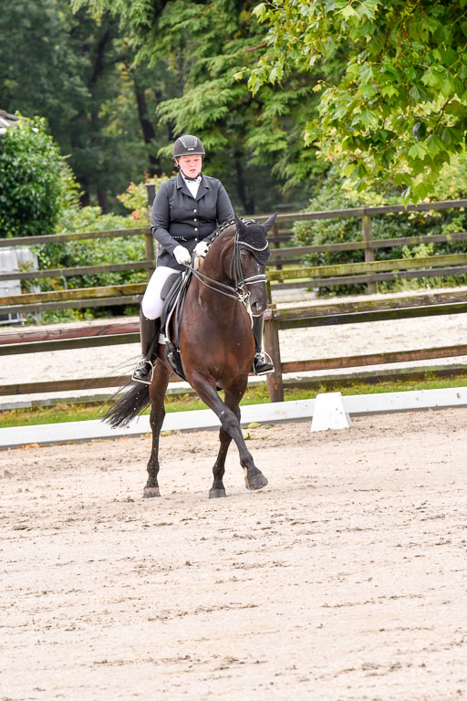 Klein Offenseth   Dressur  1.8.2021 | 01082021 Dressur M+ _112 
