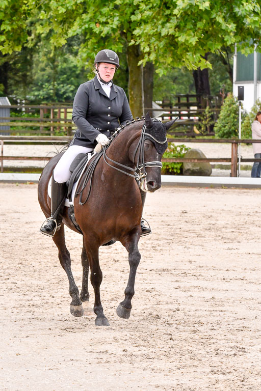 Klein Offenseth   Dressur  1.8.2021 | 01082021 Dressur M+ _114 
