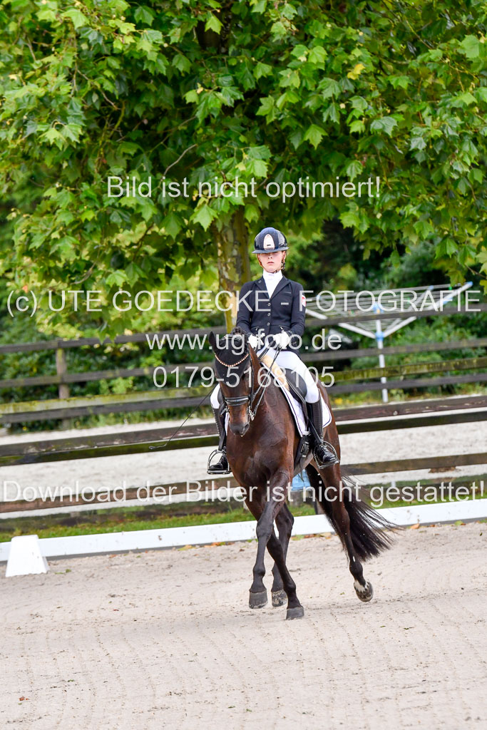 Klein Offenseth  Dressur  1.8.21 | 01082021 Dressur M+ +_009 