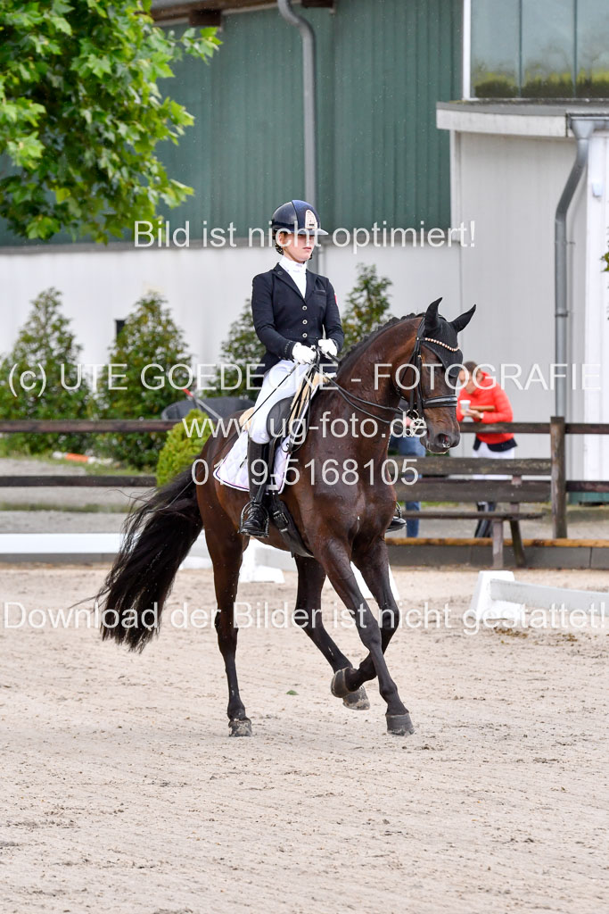 Klein Offenseth  Dressur  1.8.21 | 01082021 Dressur M+ +_014 