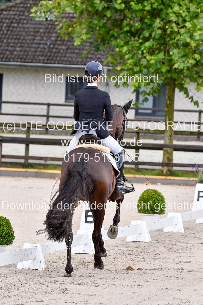 Klein Offenseth  Dressur  1.8.21 | 01082021 Dressur M+ +_015 