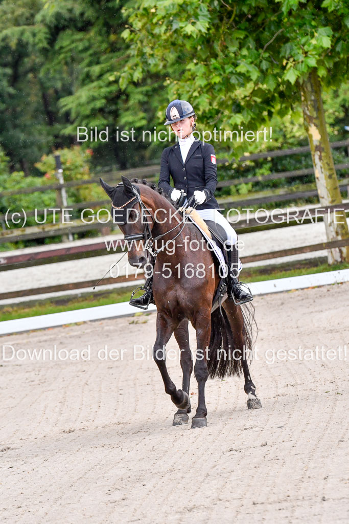 Klein Offenseth  Dressur  1.8.21 | 01082021 Dressur M+ +_016 