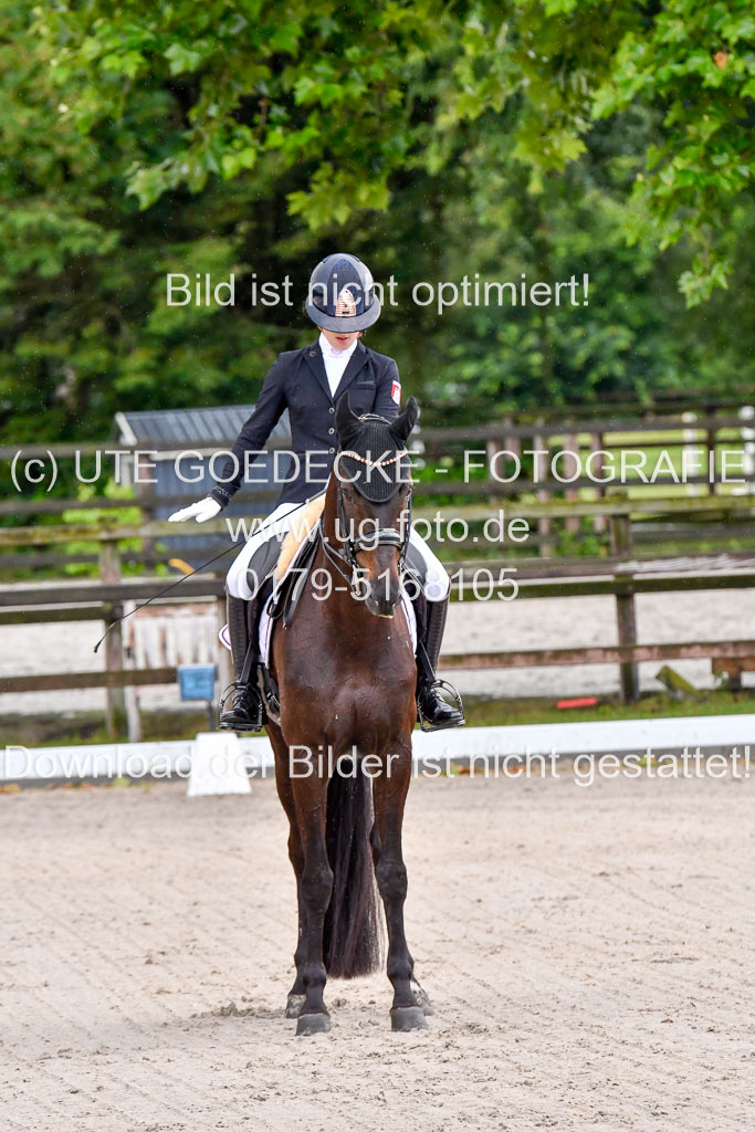 Klein Offenseth  Dressur  1.8.21 | 01082021 Dressur M+ +_017 