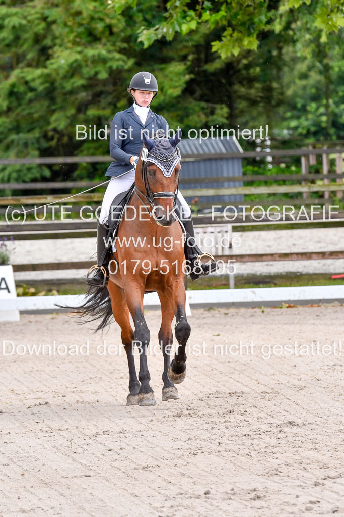 Klein Offenseth  Dressur  1.8.21 | 01082021 Dressur M+ +_023 