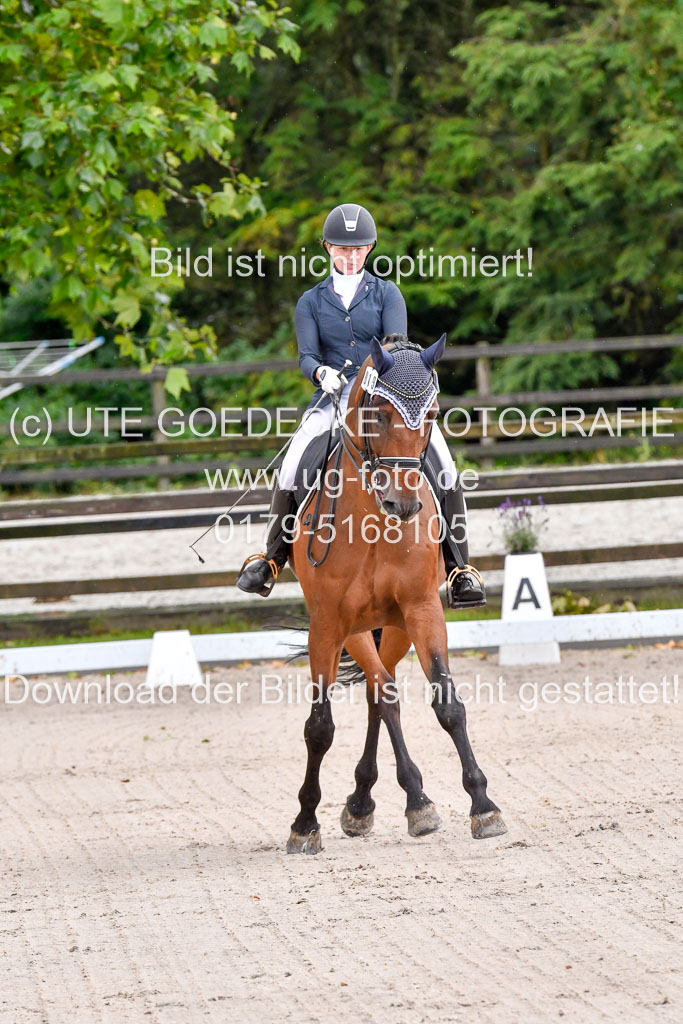 Klein Offenseth  Dressur  1.8.21 | 01082021 Dressur M+ +_029 