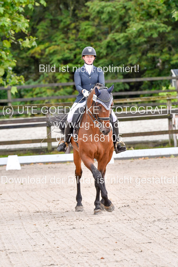 Klein Offenseth  Dressur  1.8.21 | 01082021 Dressur M+ +_030 