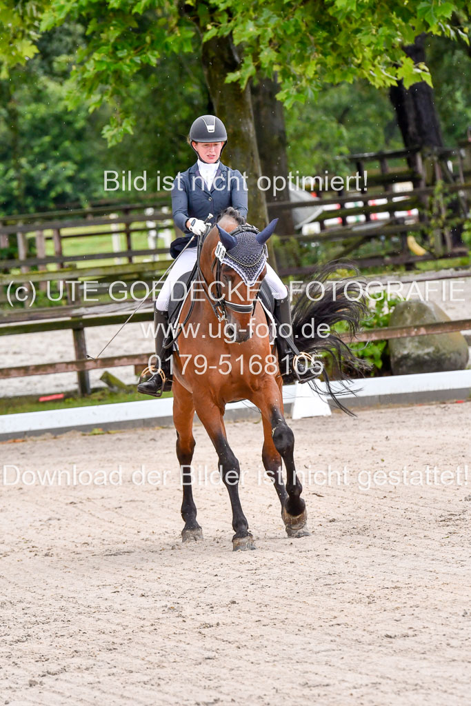 Klein Offenseth  Dressur  1.8.21 | 01082021 Dressur M+ +_038 