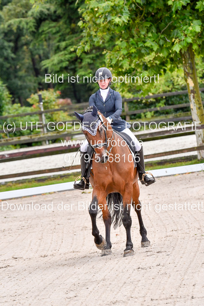 Klein Offenseth  Dressur  1.8.21 | 01082021 Dressur M+ +_040 