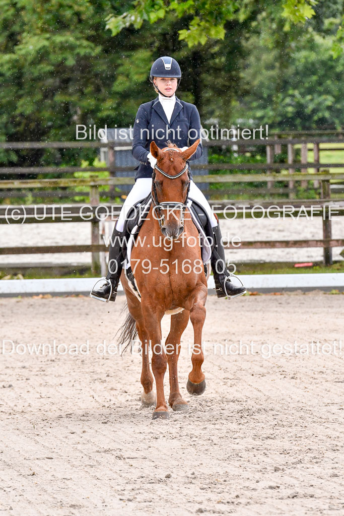 Klein Offenseth  Dressur  1.8.21 | 01082021 Dressur M+ +_050 