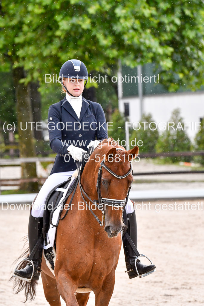 Klein Offenseth  Dressur  1.8.21 | 01082021 Dressur M+ +_054 