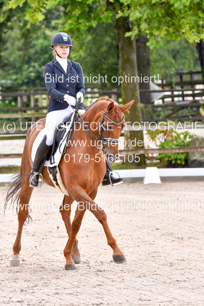 Klein Offenseth  Dressur  1.8.21 | 01082021 Dressur M+ +_060 