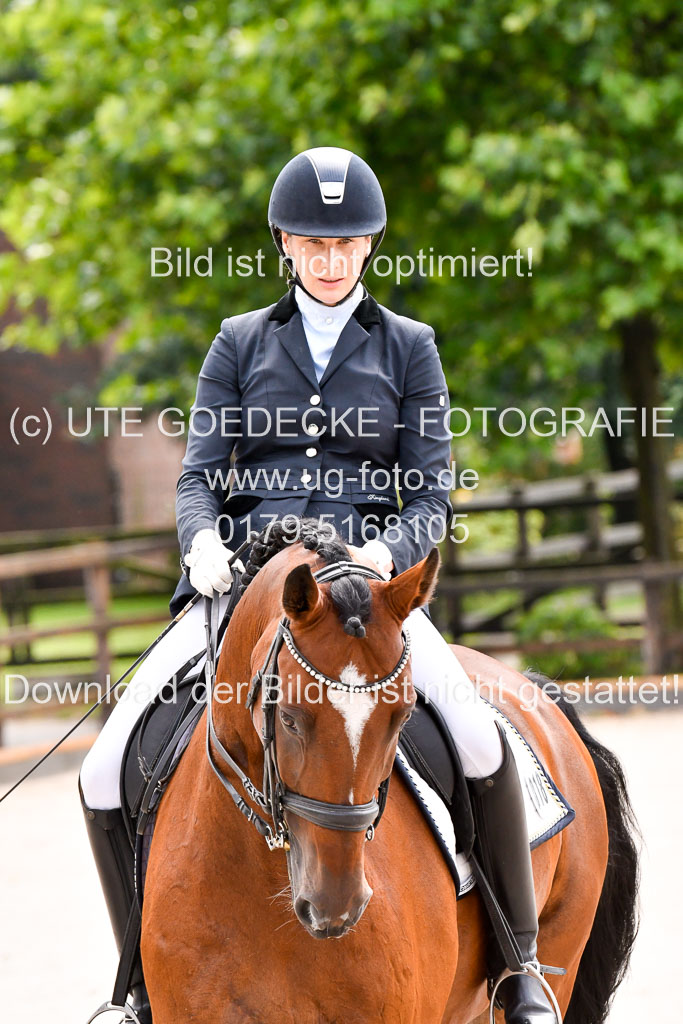 Klein Offenseth  Dressur  1.8.21 | 01082021 Dressur M+ +_068 