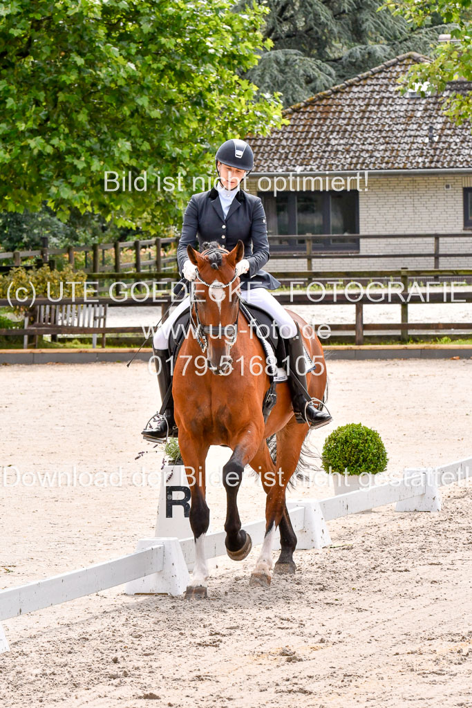 Klein Offenseth  Dressur  1.8.21 | 01082021 Dressur M+ +_070 