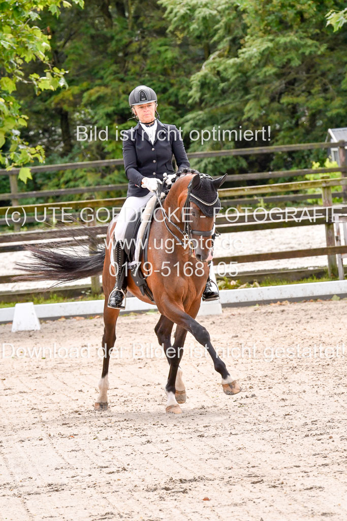 Klein Offenseth  Dressur  1.8.21 | 01082021 Dressur M+ +_080 