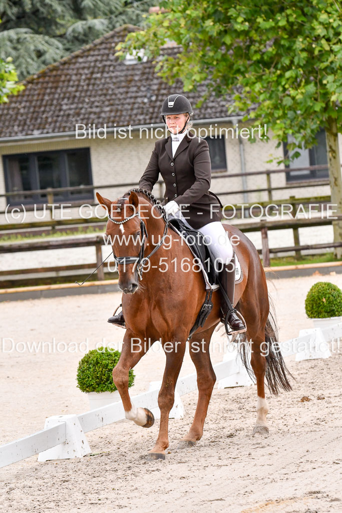 Klein Offenseth  Dressur  1.8.21 | 01082021 Dressur M+ +_118 