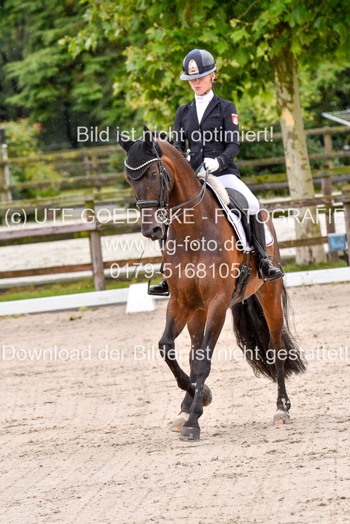 Klein Offenseth  Dressur  1.8.21 | 01082021 Dressur M+ +_140 