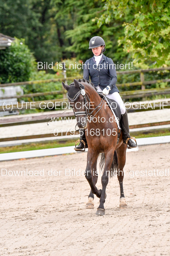 Klein Offenseth  Dressur  1.8.21 | 01082021 Dressur M+ +_157 